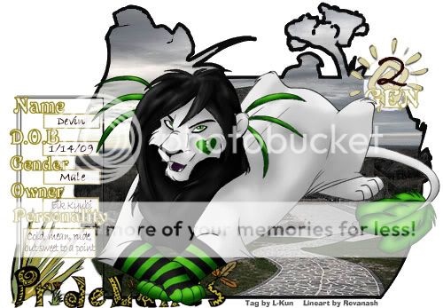 User Image